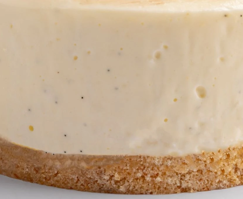 The cream of the Mango Cheesecake, very close: small black dots in it, one of them circled in pencil